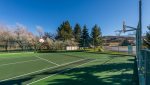 Utah Lodging / LSV 65 / Community Tennis and Basketball Courts